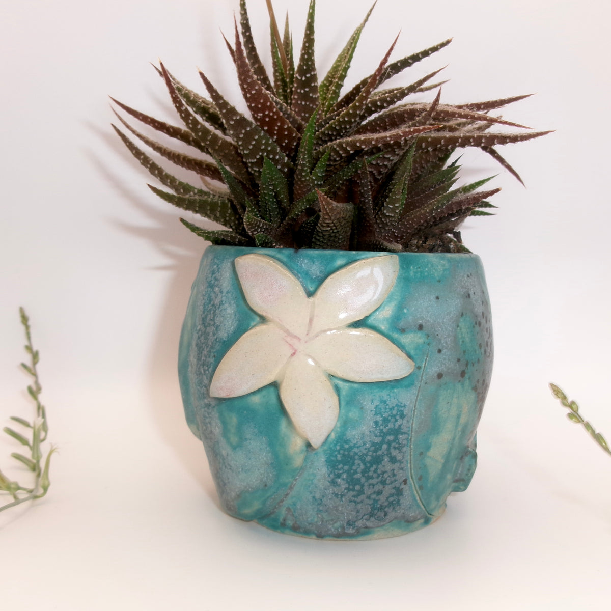 AQUA BLOSSOM